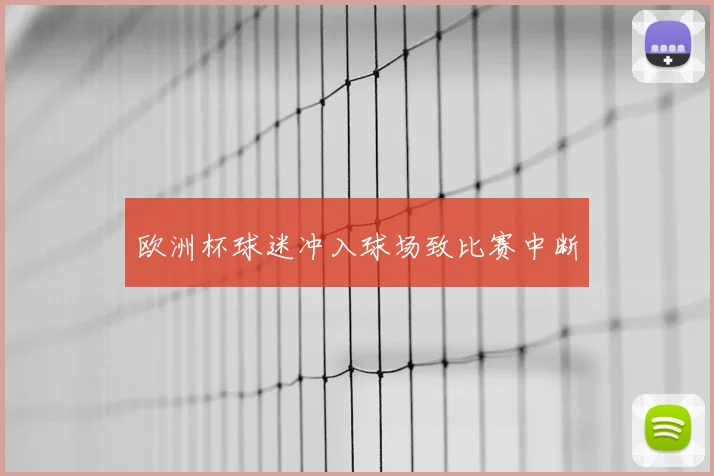 欧洲杯球迷冲入球场致比赛中断