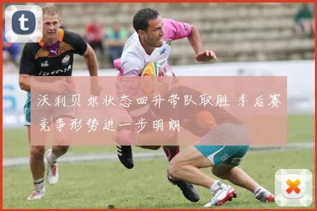 沃利贝尔状态回升带队取胜 季后赛竞争形势进一步明朗