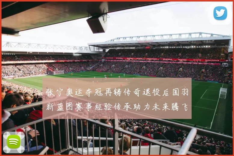 张宁奥运夺冠再铸传奇退役后国羽新蓝图赛事经验传承助力未来腾飞