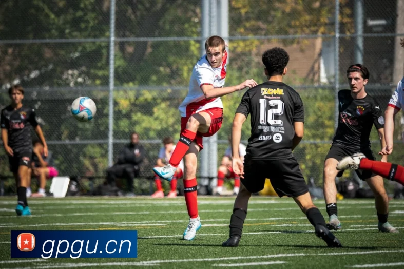 App Interface Preview